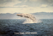 Load image into Gallery viewer, Postcards - Clearly Coastal Photography
