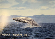 Load image into Gallery viewer, Postcards - Clearly Coastal Photography
