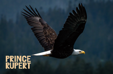 Load image into Gallery viewer, Postcards - Tourism Prince Rupert
