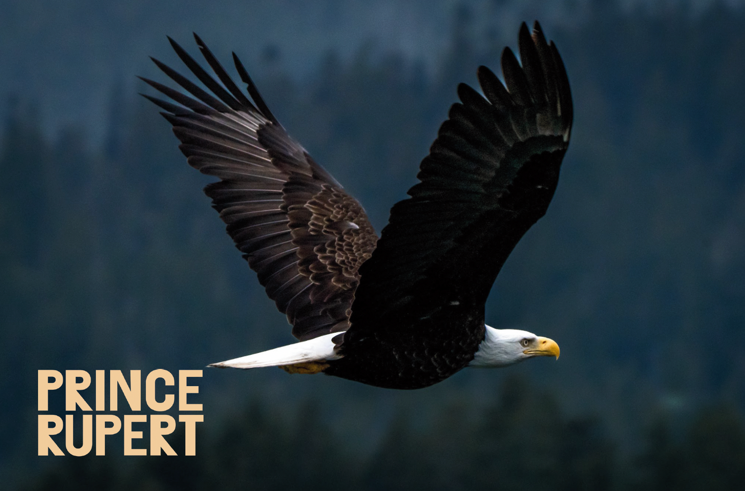 Postcards - Tourism Prince Rupert