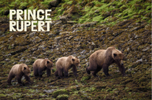 Load image into Gallery viewer, Postcards - Tourism Prince Rupert
